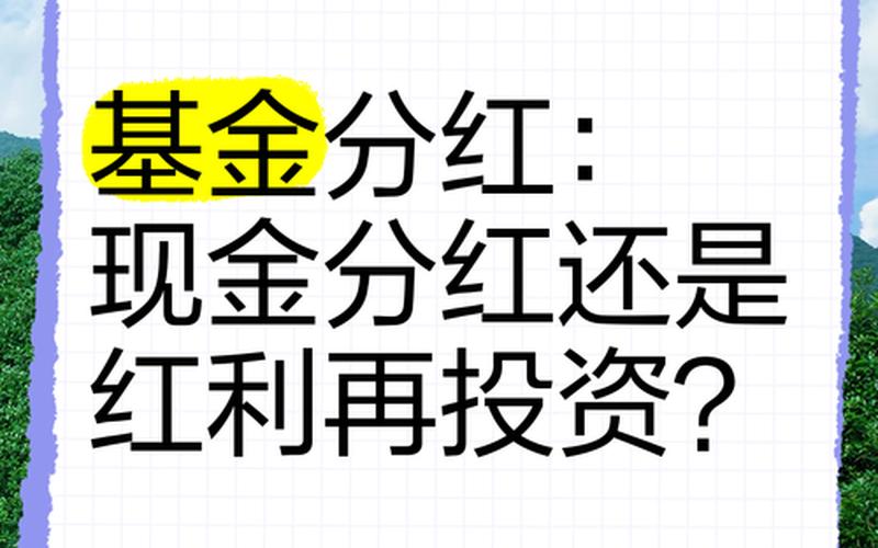 基金分红和实盘配资分红-第1张图片-树涛168配资网_配资炒股平台及公司_股票配资门户网
