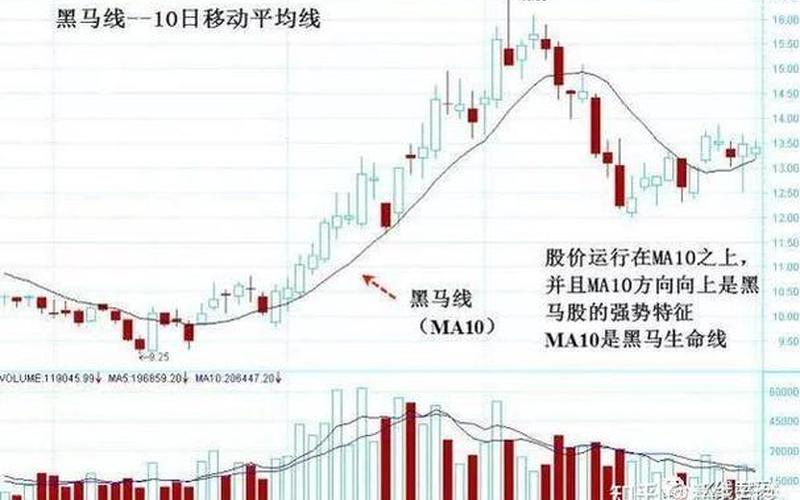 寻找黑马股的方法-第1张图片-金银屋