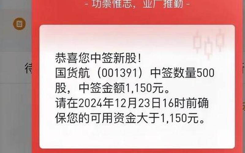 新股申购中签率高2024有望翻十倍的低价股-第1张图片-金银屋