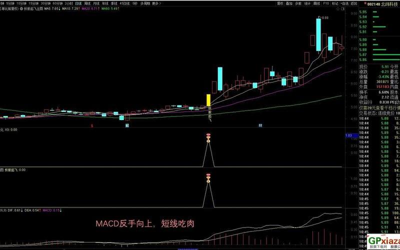 妖股短线操作指标-第1张图片-金银屋