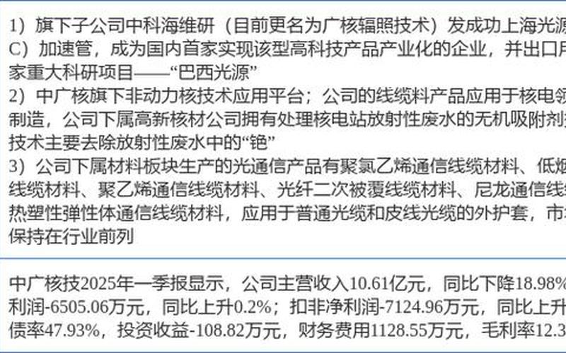 中广核电股票配资行情-第1张图片-金银屋