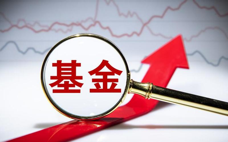 什么样的基金是股票配资基金-第1张图片-金银屋