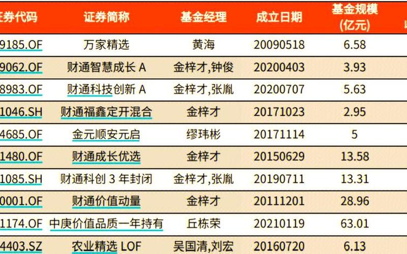 偏股基金收益率-第1张图片-树涛168配资网_配资炒股平台及公司_股票配资门户网