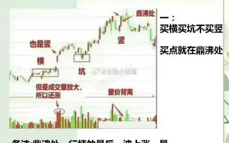 新手炒股配资需要了解的基础知识-第1张图片-树涛168配资网_配资炒股平台及公司_股票配资门户网