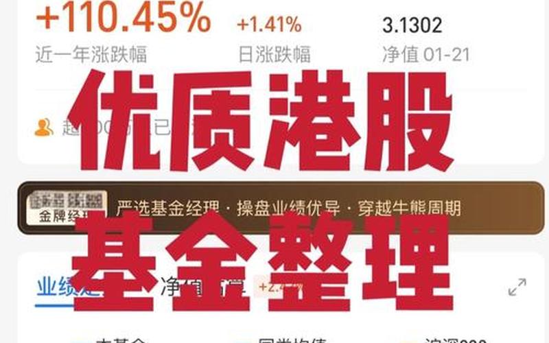 港股投资组合（港股基金有哪些）-第1张图片-金银屋