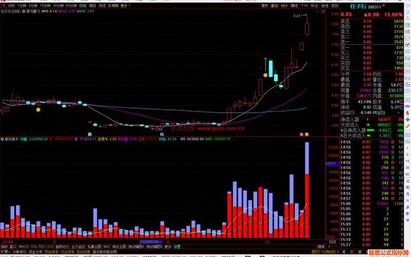 黑马推荐的好配资炒股配资-第1张图片-金银屋
