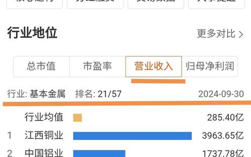 603876鼎胜新材股市预测-第1张图片-金银屋 603876鼎胜新材股市预测-第1张图片-金银屋