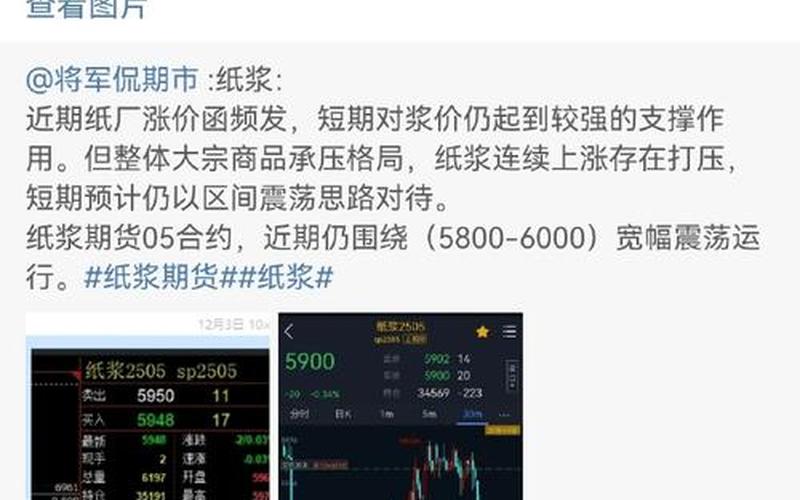 一手纸浆期货要多少钱-第1张图片-金银屋