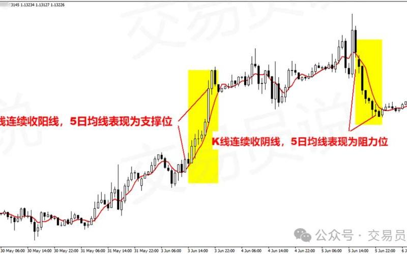 短线5日均线操作方法（五日均线怎么看）-第1张图片-金银屋