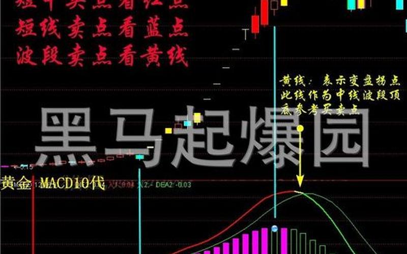 炒股配资怎么去分析追踪大牛股-第1张图片-金银屋