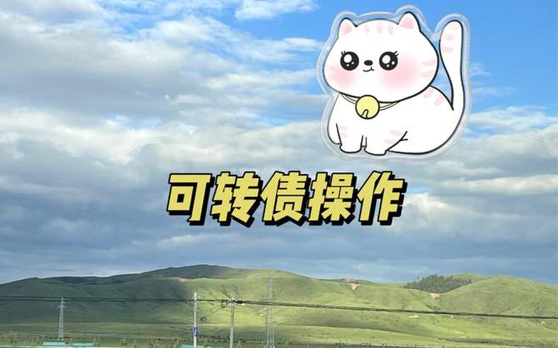 可转债转换股票配资-第1张图片-金银屋