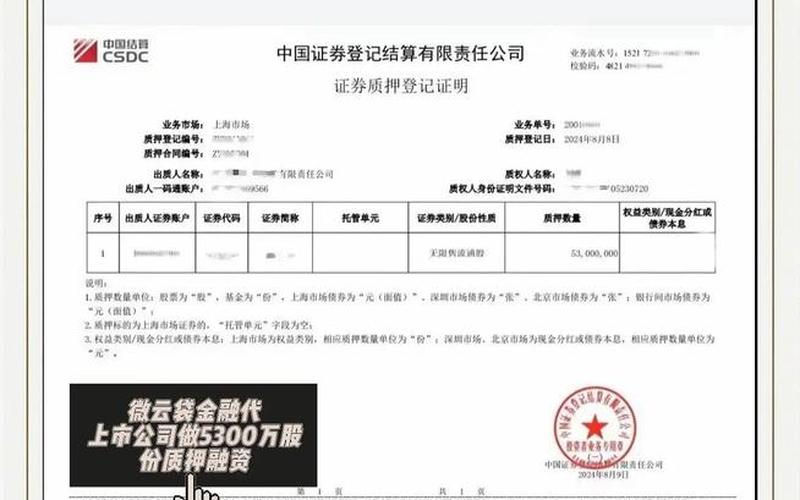 了股票配资质押式回购交易（股票配资质押式回购交易及登记结算业务办法）-第1张图片-金银屋
