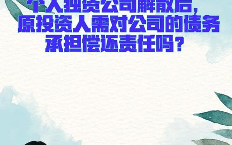 个人独资企业债务-第1张图片-金银屋