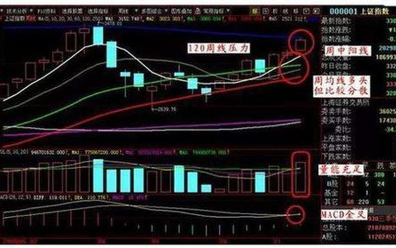 股市周线选股技巧-第1张图片-金银屋