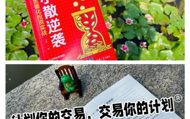 散户投资股票配资的基本知识-第1张图片-金银屋