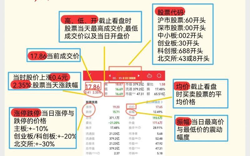 股票入门知识教程-第1张图片-金银屋