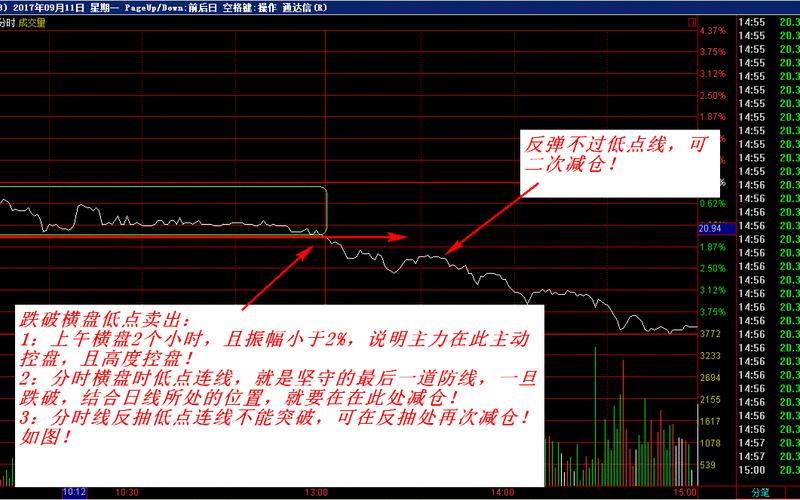 T加零分时指标股市-第1张图片-树涛168配资网_配资炒股平台及公司_股票配资门户网