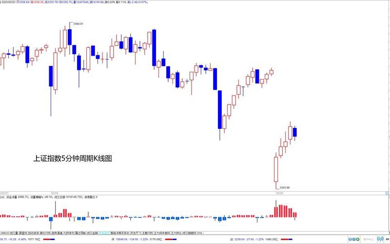 红相电力股票配资行情-第1张图片-金银屋