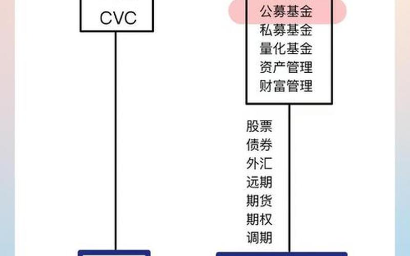 基金证券国债配资炒股配资的区别-第1张图片-金银屋