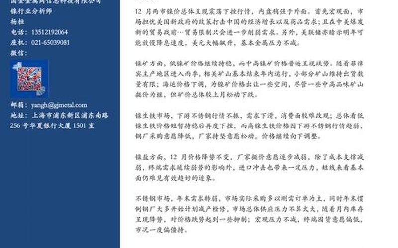 跟镍有关的股票配资：镍价波动背后的财富密码-第1张图片-金银屋