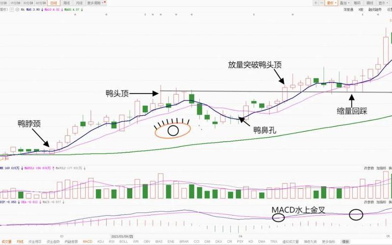 鸭头配资炒股配资形态 老鸭头配资炒股配资形态-第1张图片-金银屋