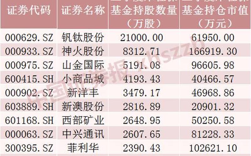 社保基金买股票-第1张图片-金银屋