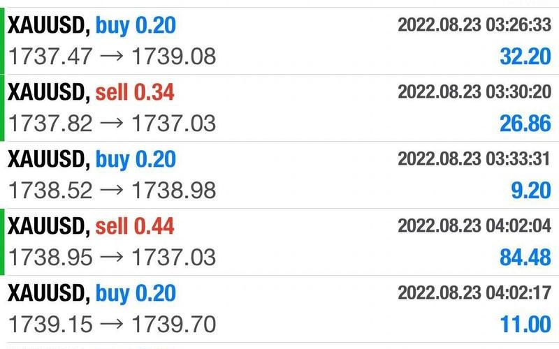 炒外汇交易平台-第1张图片-金银屋 炒外汇交易平台-第1张图片-金银屋
