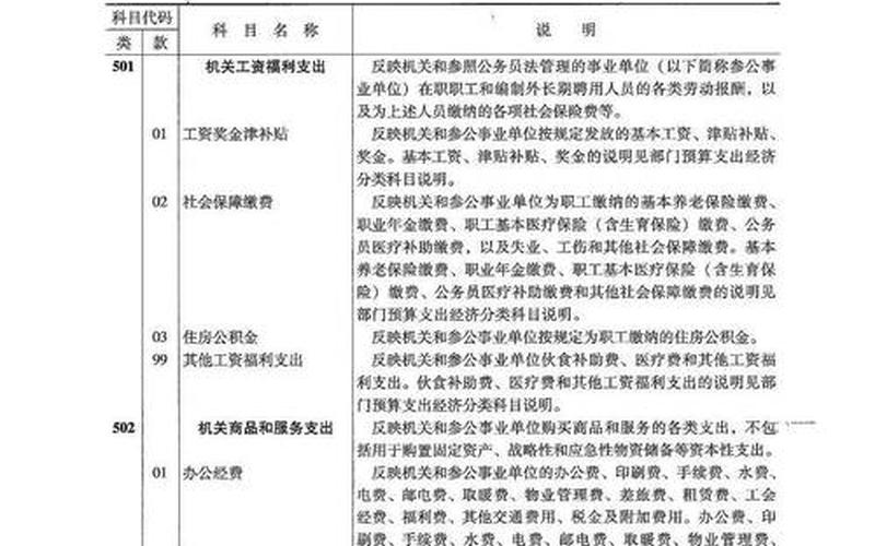 资本性支出会计科目-第1张图片-金银屋