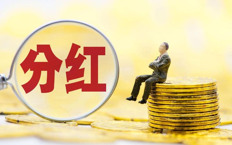 股票配资分红的钱可以取出来吗-第1张图片-金银屋