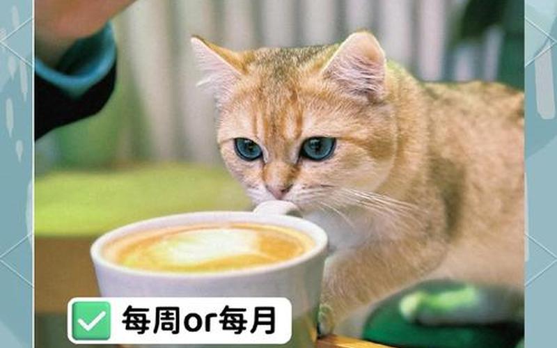 基金定投定在星期几好-第1张图片-金银屋