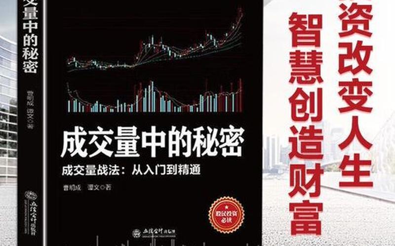 股票快速成交技巧-第1张图片-金银屋