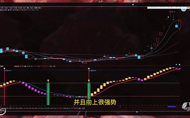 好的短线炒股配资指标-第1张图片-金银屋