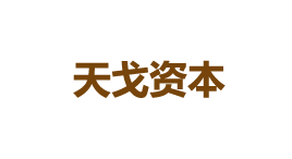 天戈资本-第1张图片-金银屋 天戈资本-第1张图片-金银屋