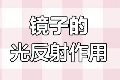 镜子主要利用光的什么原理?
