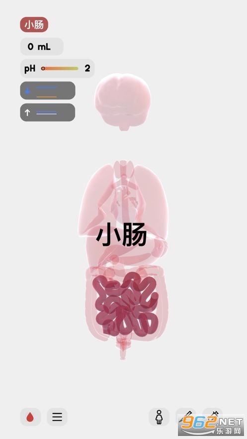 life人体模拟器游戏