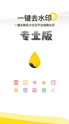 一键去水印专业版