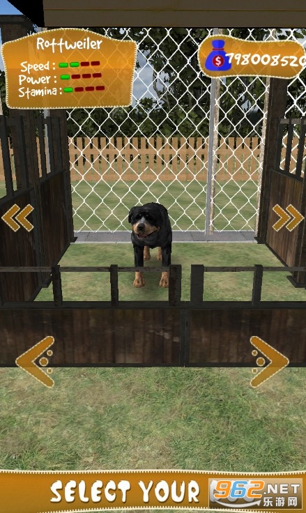 狗狗赛跑3D游戏 狗狗赛跑3D游戏