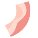 Bacon(食物大混搭培根游戏)