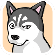 养只二哈不容易官方版