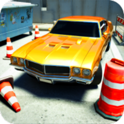 后院停车3D安卓版