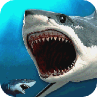 鲨鱼模拟捕猎3D安卓版