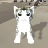 办公室的猫咪游戏官方版