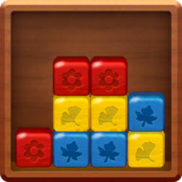 Break the Block!(打破最后的障碍安卓版)