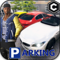 Real Parking - OpenWord Parking Game(真实停车王开放世界最新版)