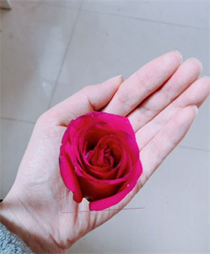 抠图放在另一张图上教程截图10