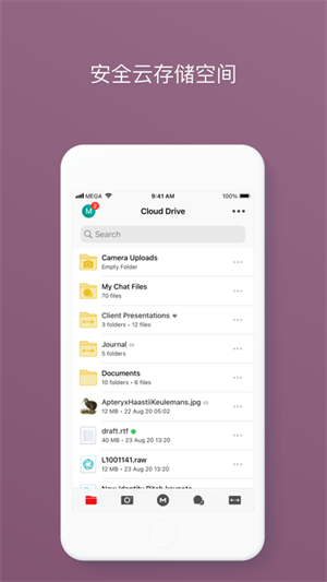 Mega云盘超出流量限制版 第1张图片
