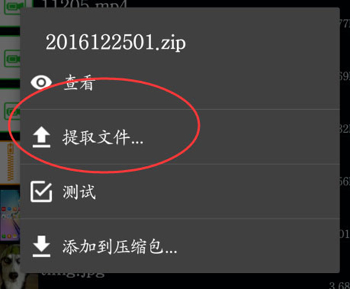 zarchiver最新版怎么解压百度网盘的文件4