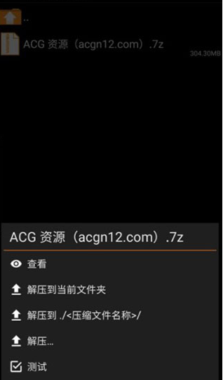 ZArchiverPro橙色专业版怎么用3