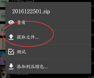 Zarchiver老外管理器新版本怎么解压百度网盘文件4