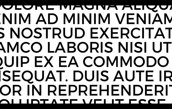 FontLab VI for Mac截图